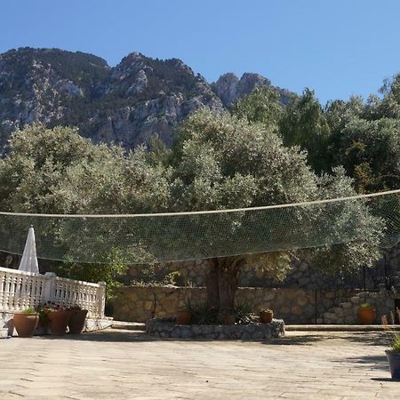 Villa Layla Kyrenia  Extérieur photo