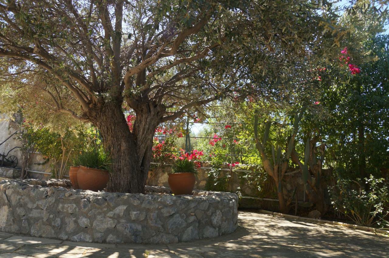 Villa Layla Kyrenia  Extérieur photo